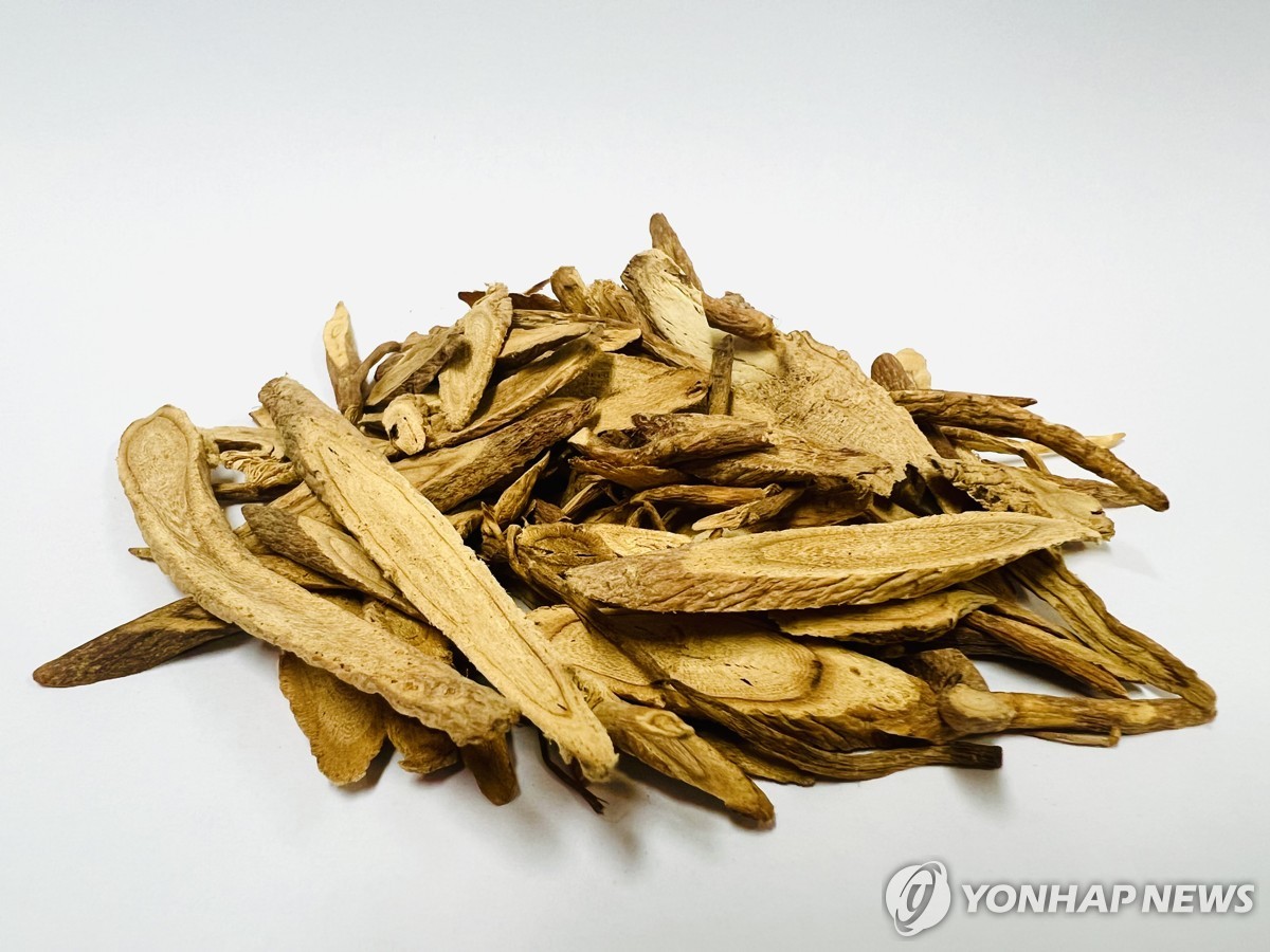 대지약초 프로필 이미지