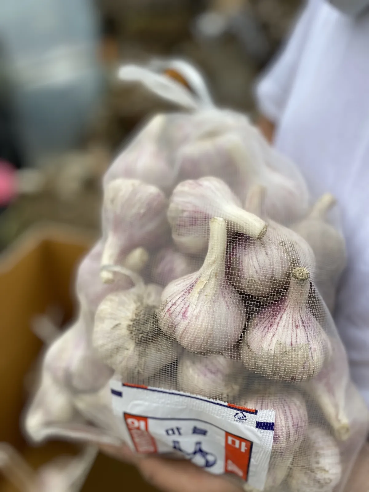 의성마늘 이미지