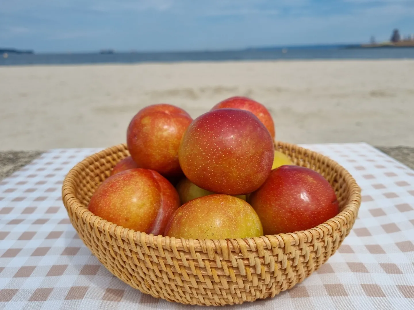 추희 자두 이미지