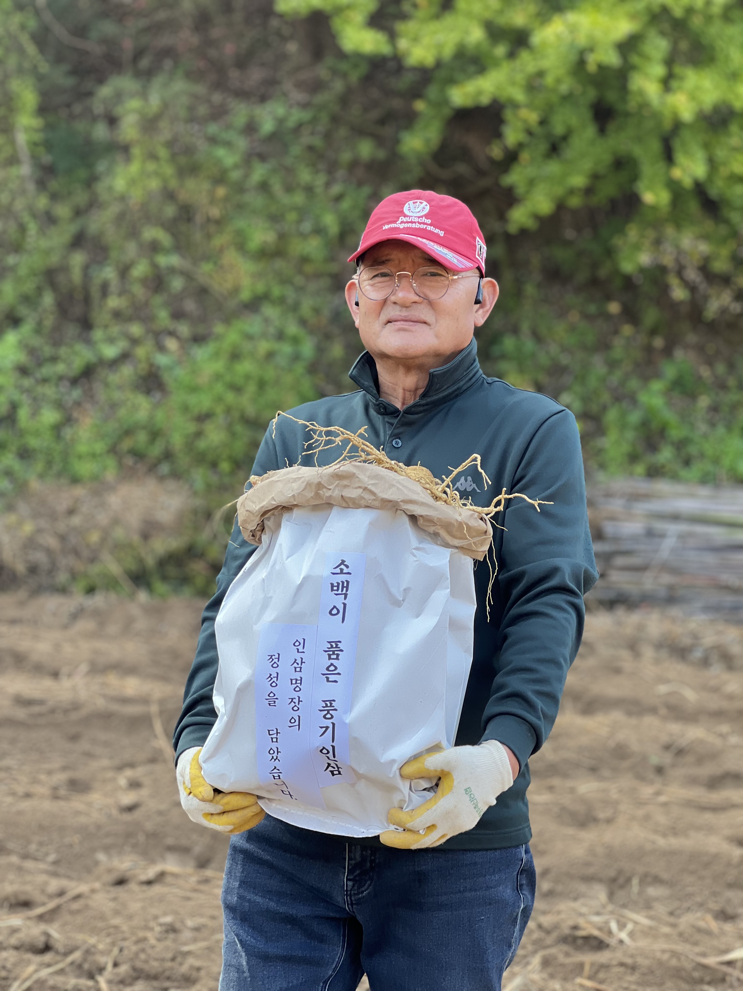소백인삼 영농조합법인 (소백토리아) 대표 이미지