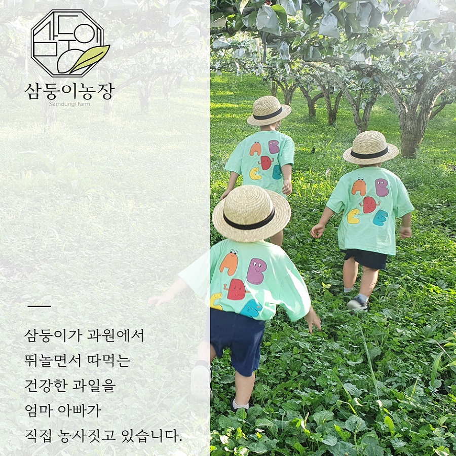 삼둥이농장 대표 이미지