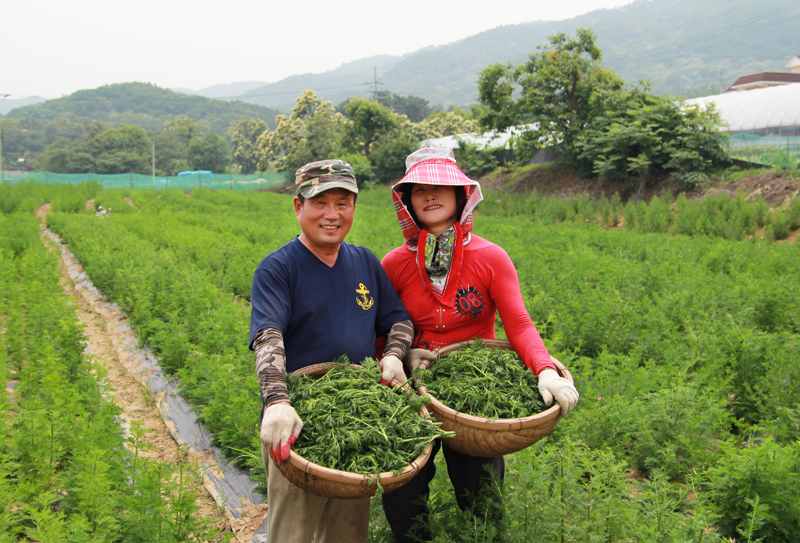 농업회사법인 주식회사 애담 대표 이미지