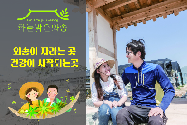 하늘맑은와송 대표 이미지