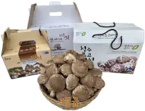 생표고버섯 이미지